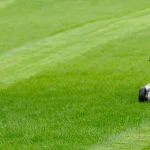 guy mowing lawn