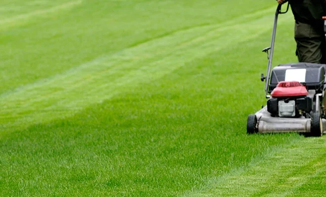 Save Time with a Trusted Guy Mowing Lawn for You