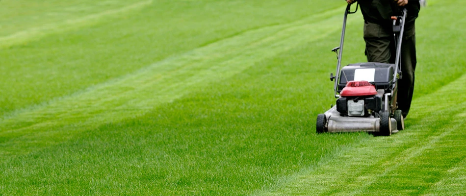Save Time with a Trusted Guy Mowing Lawn for You