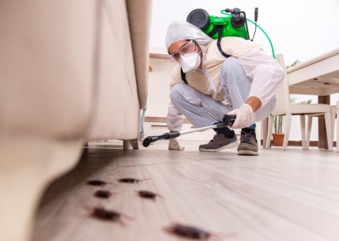 Discreet Bed Bug Chemical Treatment for Maximum Privacy